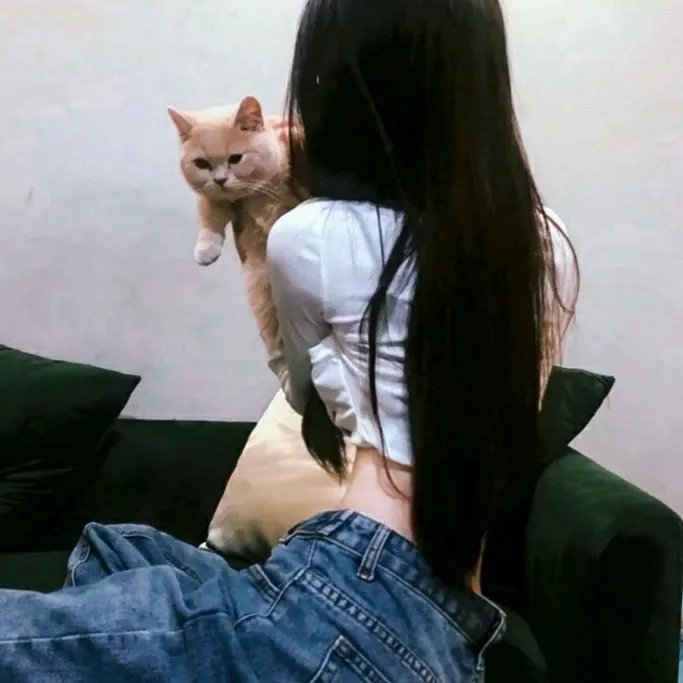 玉楼春梦