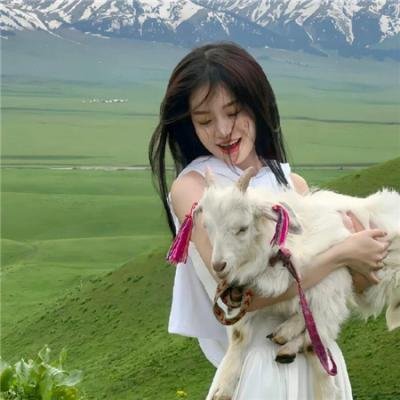 凯莉女王